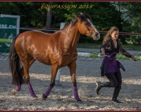 2-13JUIN 0727